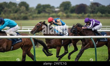 Newmarket, UK. 26th September, 2024. Runners and riders compete in the Tattersalls Stakes. The Cambridgeshire Meeting takes place over three days at Newmarket Racecourses and is one of the major events of the autumn horse racing season. Credit: David Tramontan / Alamy Live News Stock Photo