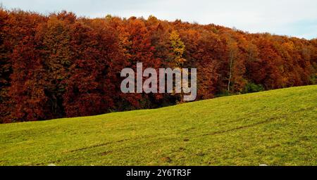 Valley of the Sphinxes. Autumn landscape. Velo Veronese, Lessinia Plateau. Province of Verona. Veneto, Italy Stock Photo