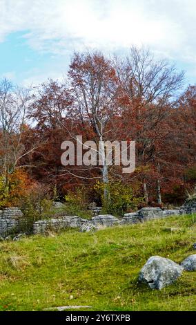 Valley of the Sphinxes. Autumn landscape. Velo Veronese, Lessinia Plateau. Province of Verona. Veneto, Italy Stock Photo