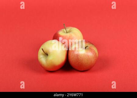 Three Fresh Red and Yellow Apples on Vibrant Red Background – Isolated, Healthy Fruit, and Nutrition Concept Stock Photo