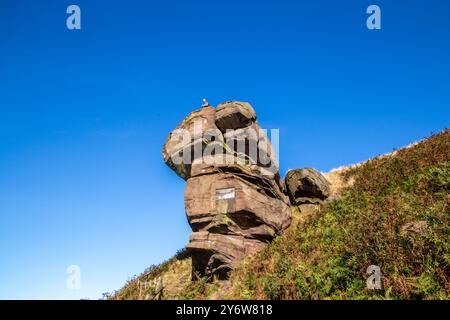 Man standing on the Hanging Stones a rock formation on the Roaches Ridge Staffordshire near Danebridge in the English Peak District  National Park Stock Photo