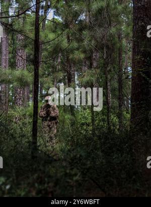 A recruit with Echo Company, 2nd Recruit Training Battalion, conducts a land navigation assessment on Marine Corps Recruit Depot Parris Island, S.C., Sept. 25, 2024. Land navigation is part of Basic Warrior Training and is designed to teach recruits how to use a lensatic compass and topographic map. (U.S. Marine Corps photo by Pfc. Van Hoang) Stock Photo