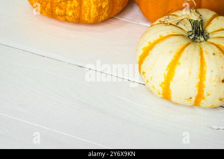 Fall pumpkins on white wooden surface Stock Photo