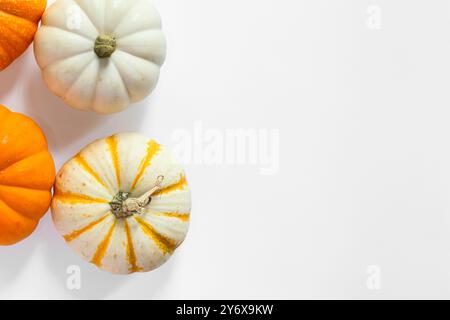 Top down image of fall pumpkins on white background Stock Photo