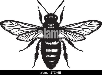 Silhouette bee Professional black and white logo, suitable for a icon variety of industries. Minimalistic aesthetic, isolated on a white background. Stock Vector