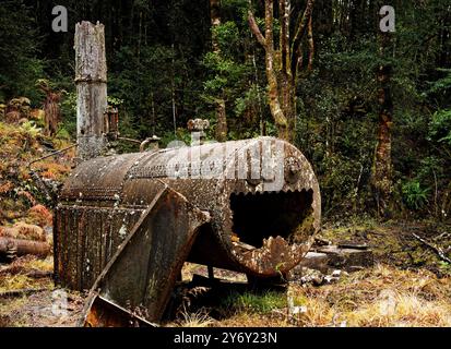 Gold mining relics, a steam boiler, in Victoria Forest Park, Reefton, south island, Aotearoa / New Zealand. Stock Photo