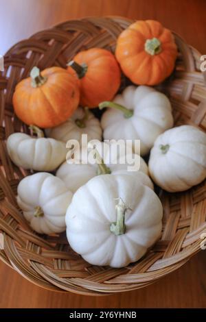 Closeup of Mini White and Orange Pumpkins in Woven Wicker Basket Stock Photo