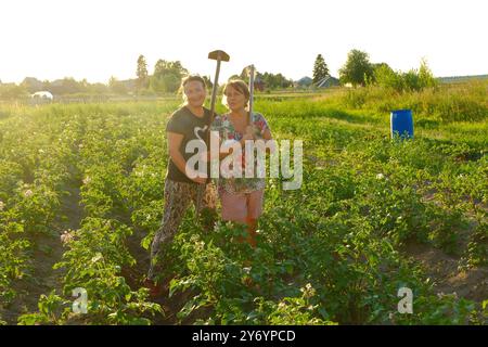 Two women joyfully working together in a vibrant potato field Stock Photo