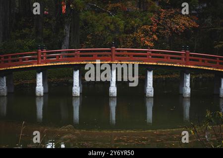 detail of arched bridge on lake Stock Photo