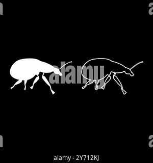 Weevil insect pest set icon white color vector illustration image simple solid fill outline contour line thin flat style Stock Vector