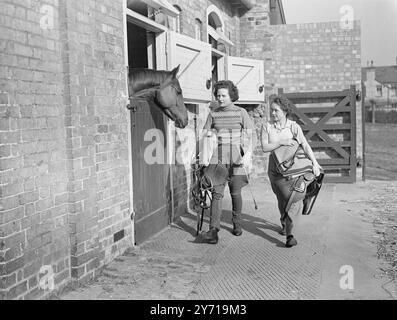 FAIR STABLE '' LADS ''   Two girls with a great love of horses are curly - haired ROASLIND  RENNIE - TAILYOUR and her 18 - year - old friend '' MICKEY '' O ' CALLAHAN - both stable '' lads '' at Mr . G. Archibald's Newmarket stables . Any morning , wet or fine , the girls can be seen dodging in and out of the stalls with pitch - forks laden with straw , or with saddles as they prepare their charges for early - morning exercise . Each has two horses under their care : Rosalind has three- year - old '' KANTZ '' and a two - year - old gelding , and '' Micky '' two three - year - olds , '' Buckler Stock Photo