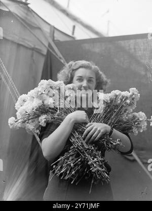 " IN OLDE CHELSEA " SPRING SHOW AT ROYAL HOSPITAL .     Highlighting the first CHELSEA week an experiment to attract visitors to the famous borough is the Royal Horticultural Society ' s spring show , in the grounds of the Royal Hospital , which opens to the public .     PICTURE SHOWS :-  " Chelsea Bunch"  Miss JOAN NAEF , has an " armful of charm " with this bunch of Carnations , she is arranging for the National Farmers Union display , at the Chelsea Flower Show .     May 25 1948 Stock Photo