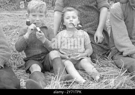 'Mary has a little pipe' - Daddy doesn't mind.   Four year old Mary Guinane, doesn't bother as much with dolls as other little girls, she smokes a pipe. Brother Jimmy (James) Guinane, smokes one too. But as he is all of four and six months, he smokes two ounces more than his sister. Between them they get through six ounces a week, all with Daddy's full knowledge and consent. Mr James Guinane of Carhue, Rineanna, near Shannon, says 'It is true they smoke more than myself, but what matters if they are healthy.'.     Picture shows : 'Curly Cut' Jimmy and Mary Guinane enjoy a quiet smoke. Stock Photo