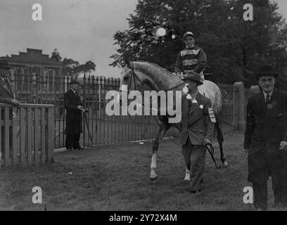 The King George VI Stakes, run for the first time at Ascot, was won by the French horse 'Souverain, ridden by M. Lollierou, five lengths in front of 'Brighton News', winner of the Irish Derby' with M. Wing in the saddle. Third, a short head behind was 'Airborne' (T Lowrey up), favourite for the race, and winner of the Derby and the St Leger. The winning horse, which is owned by Mr R.F. Schmidt and trained by M. Delavaud, was one of the seven French horses to start in a field of 11 runners. Picture shows: The galant loser grey 'Airborne' photographed at the King George VI stakes at ascot.   12 Stock Photo