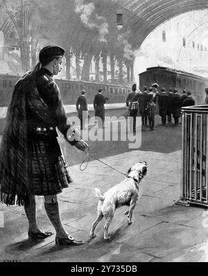 Left behind :  King Edward VII 's favourite terrier Caesar , straining at his leash in an endeavour to reach his dead master's side as the train bearing the royal remains to Windsor steamed out of Paddington . May 1910 Stock Photo