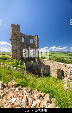 Ruins of Plavec castle near Stara Lubovna, Presov region, Slovakia Stock Photo