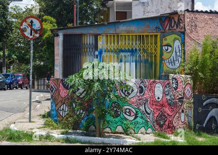 The Graffiti artwork on the walls of Beco do Batman, Batman alley, in Vila Madalena, Sao Paulo, Brazil Stock Photo