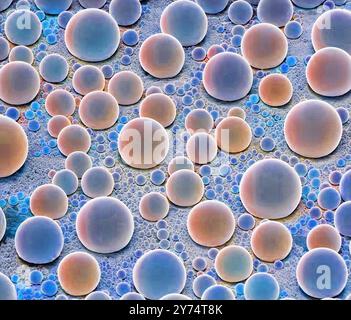 Scanning electron micrograph (SEM) of carbon nanotubes grown on a ...