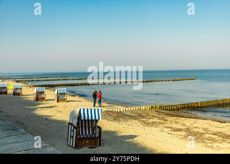 The Ghost Forest of Nienhagen on the Baltic Sea coast, Nienhagen ...