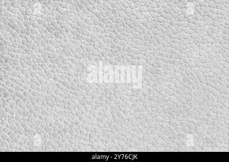 Velours white fabric with with embossed pattern like leather structure texture close up, macro. Upholstery decorative cloth structure, canvas for home Stock Photo