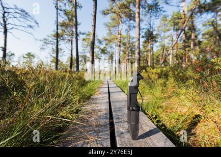 A large survival folding knife is stuck into a wooden path in a forest swamp on a summer day. Stock Photo
