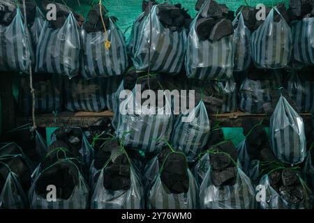 Charcoal baggages in local market, Leticia Stock Photo