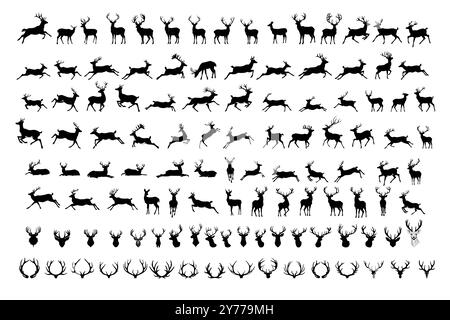 Silhouettes of deer in various poses and movements. Deer on a white background. Stock Vector
