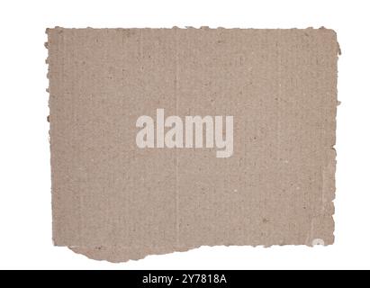Corrugated kraft cardboard. A piece of torn cardboard isolated on a white background Stock Photo