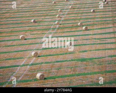 Straw bales on a harvested field, drone photo. Gotha, Thuringia, Germany, Europe Stock Photo