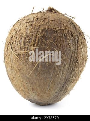 Whole coconut isolated on white background Stock Photo