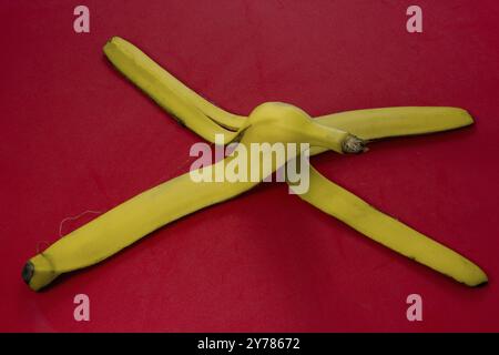 Yellow banana skin on a red background. Concept for warning of slippery surfaces and danger of slipping. Close-up Stock Photo
