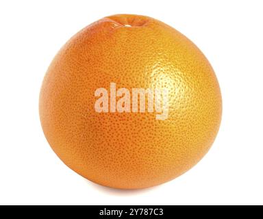 Grapefruit isolated on white background. Whole orange citrus Stock Photo