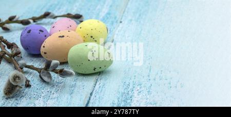 Happy Easter. Easter eggs. Willow twigs. Holy Easter. Blue background Stock Photo