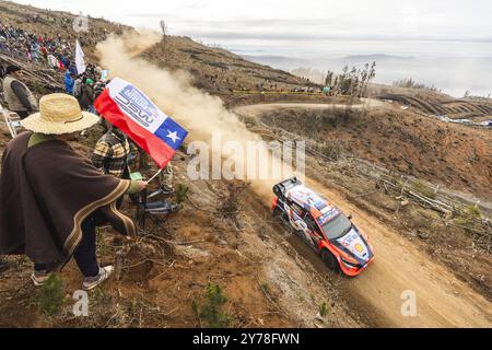 08 Ott TÄNAK, Martin JÄRVEOJA, Hyundai I20 Rally1, action during the ...