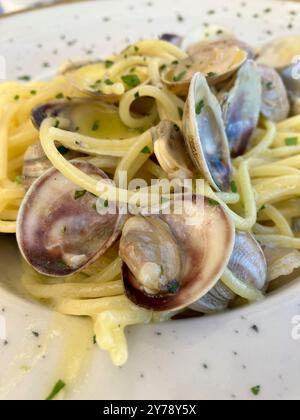 Pasta alle Vongole is a traditional Italian dish originating from Naples Stock Photo