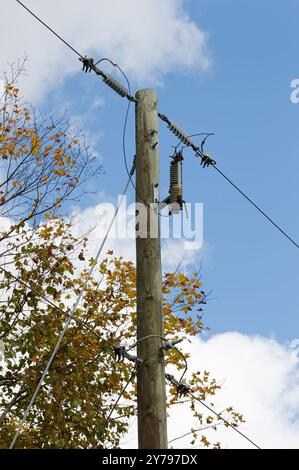 Wooden utility electric  pole with porcelain insulators. Quebec,Canada Stock Photo
