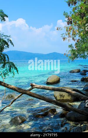 The trees and turquoise waters around Coral island, Phuket, Thailand. Blue sky with copy space for text Stock Photo