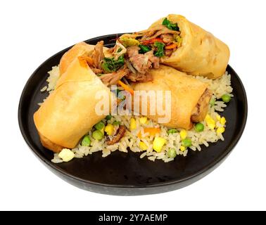 Jumbo shredded duck meat and vegetable filled spring rolls with egg fried rice isolated on a white background Stock Photo