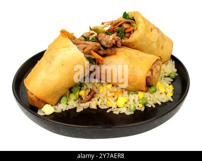 Jumbo shredded duck meat and vegetable filled spring rolls with egg fried rice isolated on a white background Stock Photo