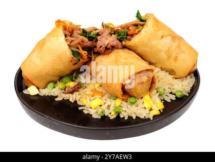 Jumbo shredded duck meat and vegetable filled spring rolls with egg fried rice isolated on a white background Stock Photo