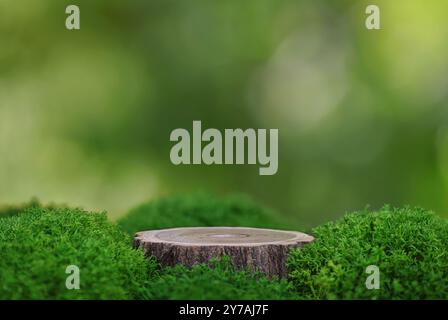 wooden round podium with green moss on natural background. Mockup for the presentation of cosmetics and other products Stock Photo