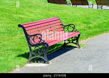 Nice looking bench on green lawn background in a recreation park Stock Photo