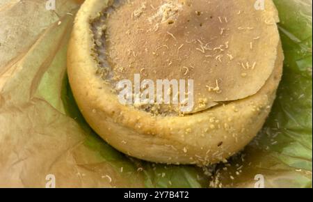 cheese with worms or casu martzu, typical Sardinian cheese Stock Photo