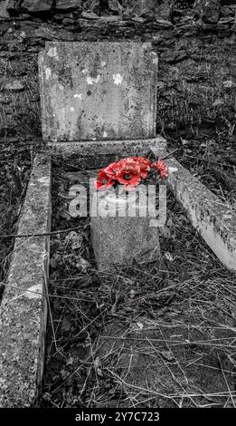 Red poppies on a tombstone in a cemetery - desaturated background. Halloween. World War 1. Remembrance. Evocative. Mournful. Wales. Stock Photo