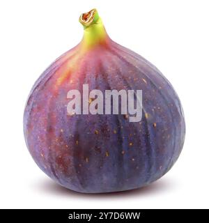 Figs isolated on white background. Clipping Path. Full depth of field Stock Photo