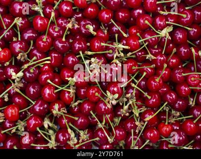 Background of evenly spread cherries. Top view on fresh red berries Stock Photo