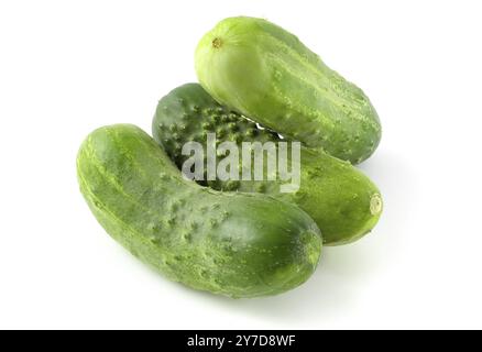 Three fresh cucumbers isolated on white background Stock Photo