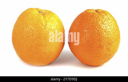 Two ripe grapefruits isolated on white background. Whole nutritious citrus Stock Photo