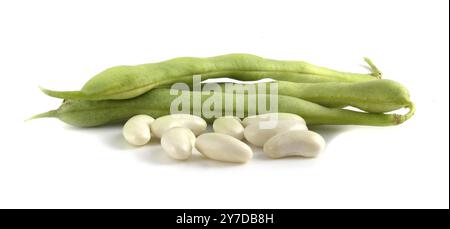 Young bean pods and beans isolated on white background close up Stock Photo