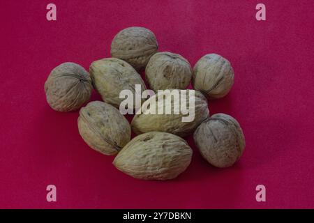 Walnuts on a red background Stock Photo